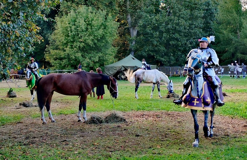 Photograph by Елена Эйнова