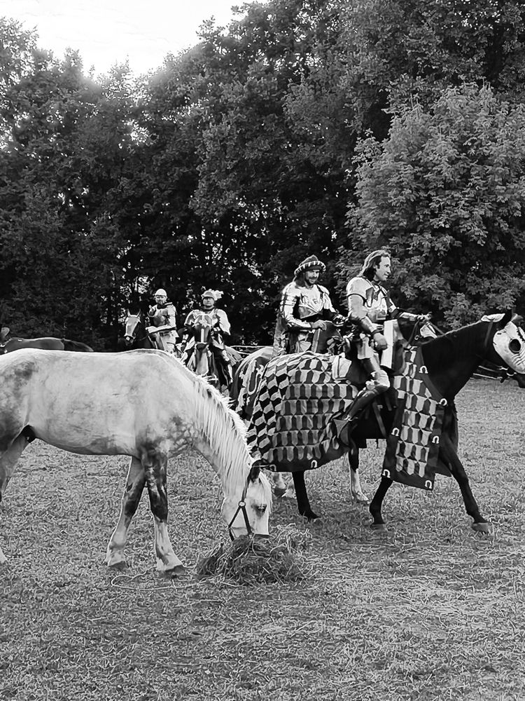 Photograph by Елена Эйнова