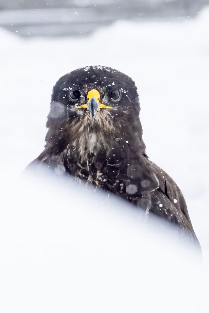 Фотография автора Владислав Колодюк