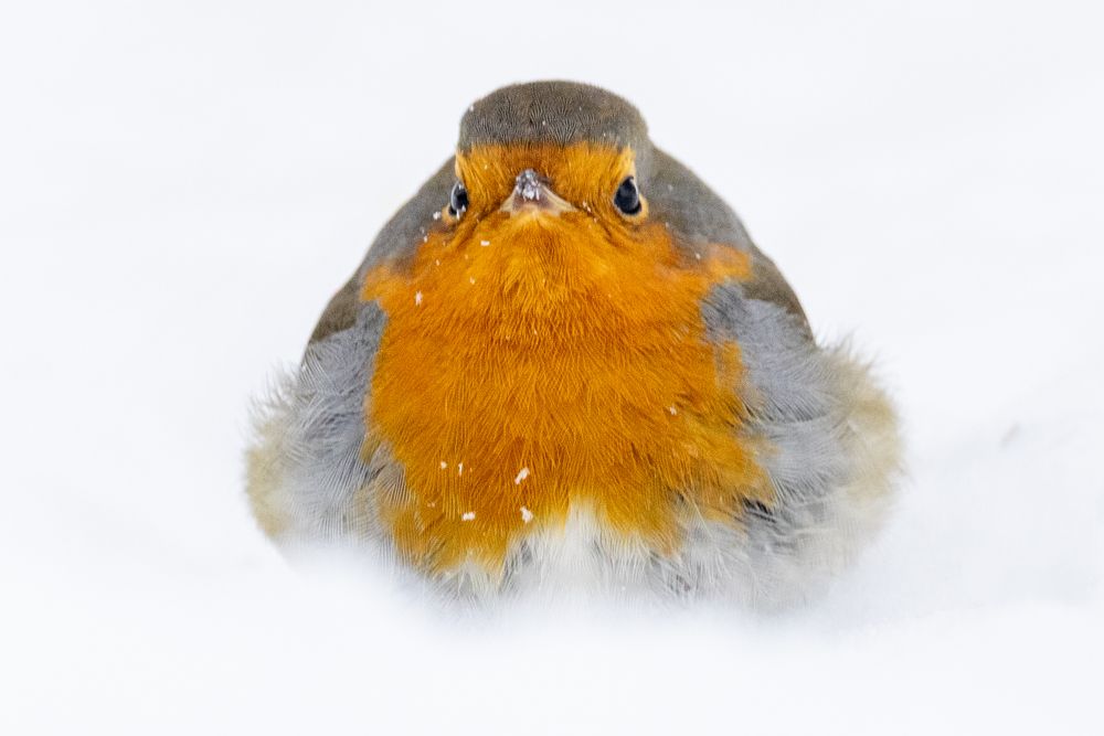 Фотография автора Владислав Колодюк