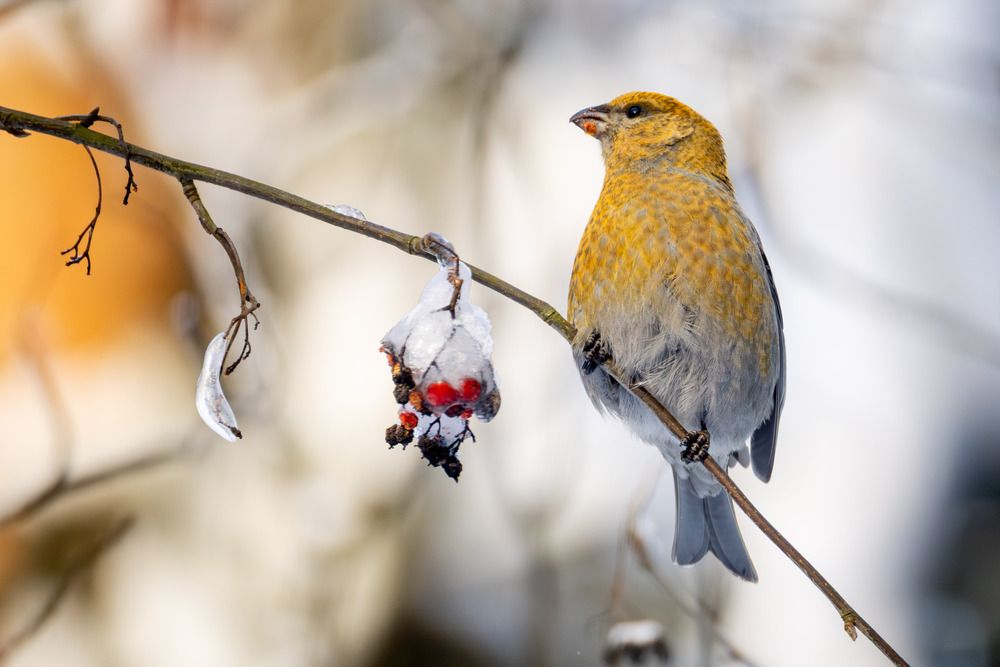Фотография автора Владислав Колодюк