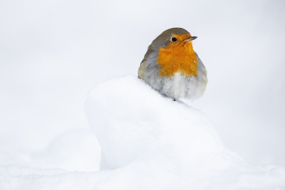 Фотография автора Владислав Колодюк