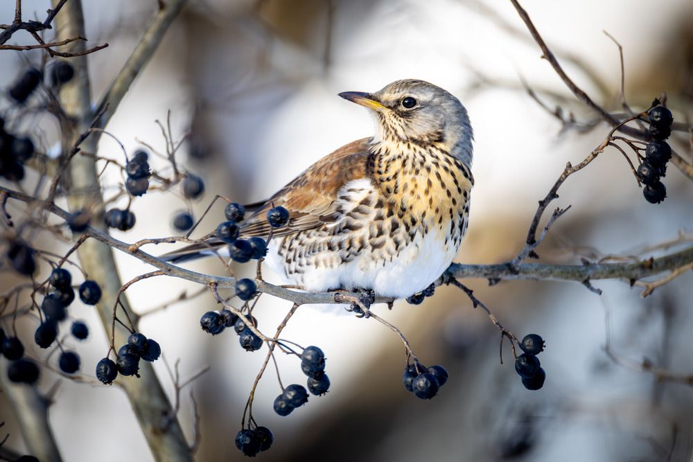 Фотография автора Владислав Колодюк