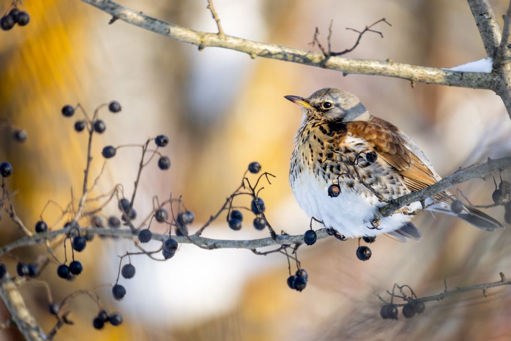 Фотография автора Владислав Колодюк