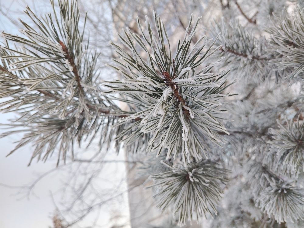 Photo #13214294