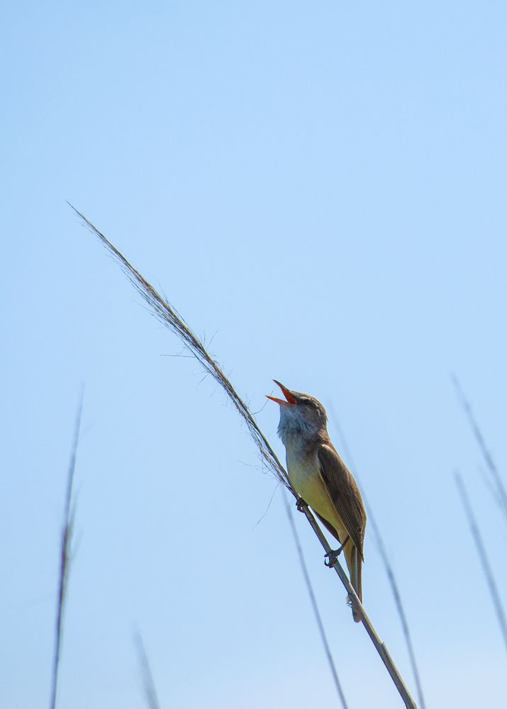 Photograph by Татьяна Петренко