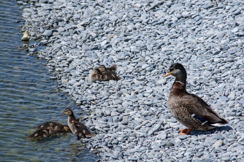 Photograph by Татьяна Петренко