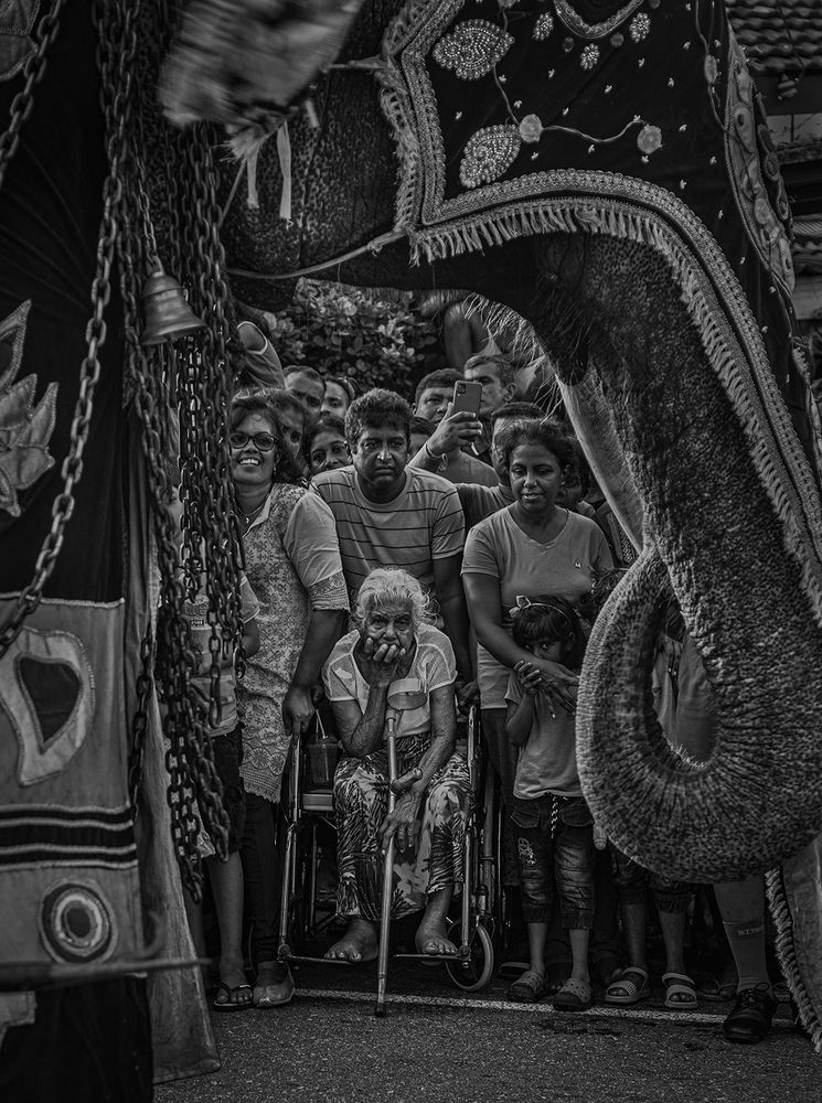 Фотография автора Laddu Sasindu Pramuditha De Silva