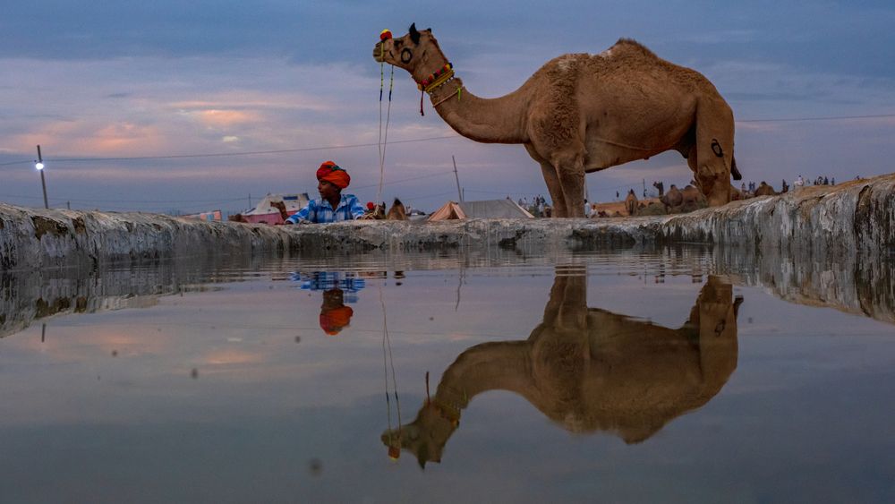 Photograph by Anuj Medhavi