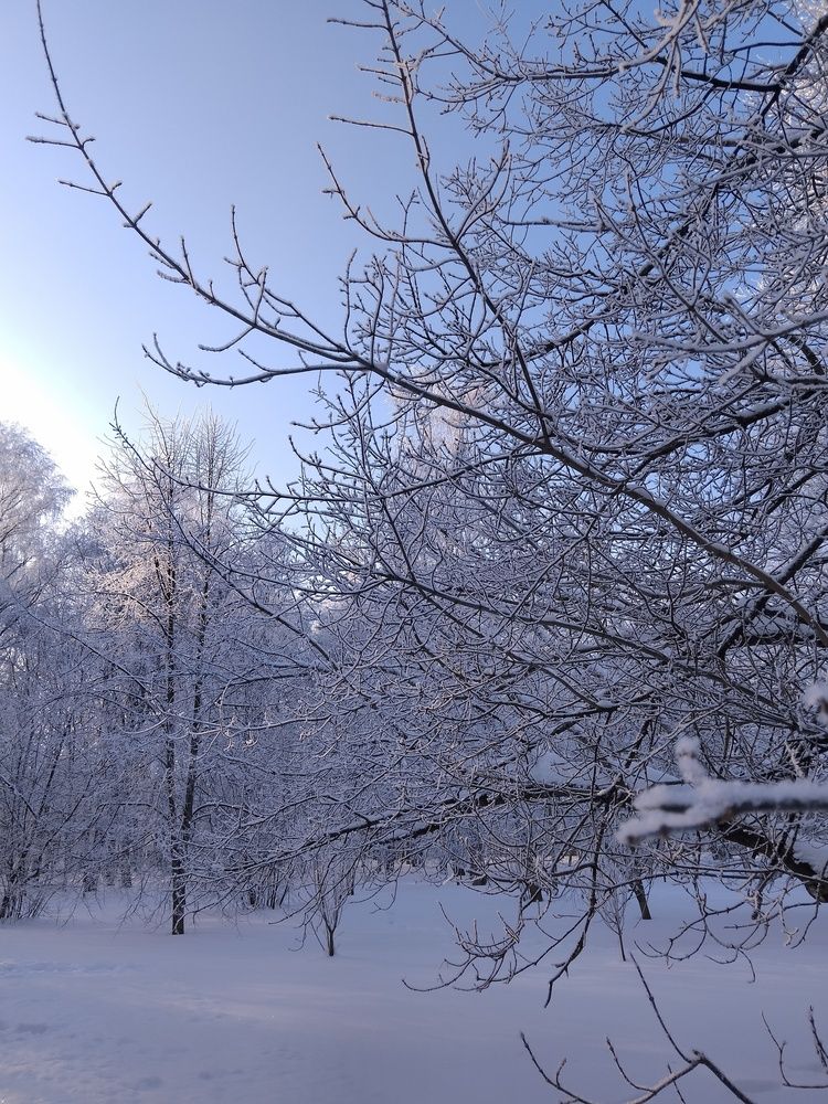 Photo #13214352