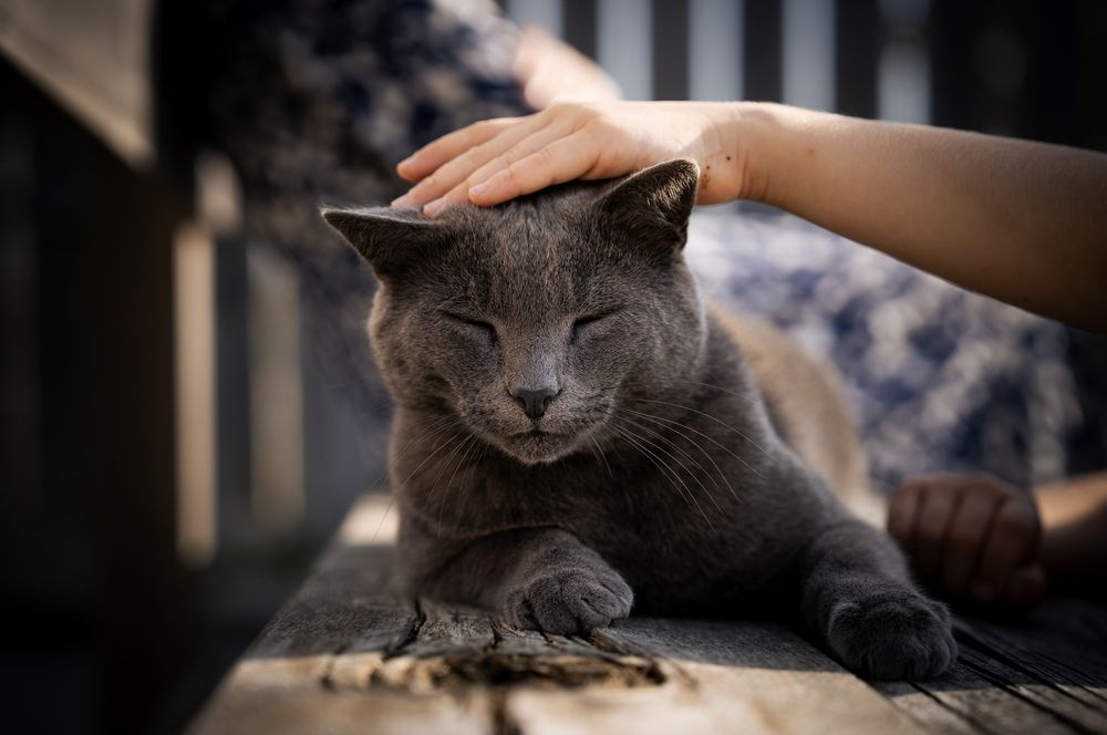 Photograph by Misha Bondarev
