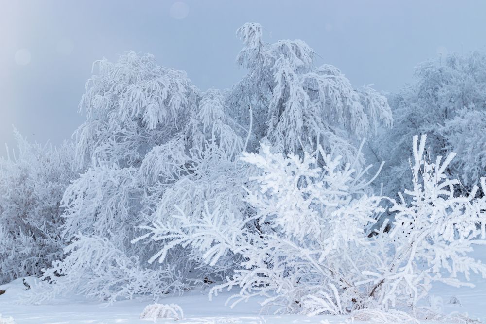 Photograph by Георгий Татарченко