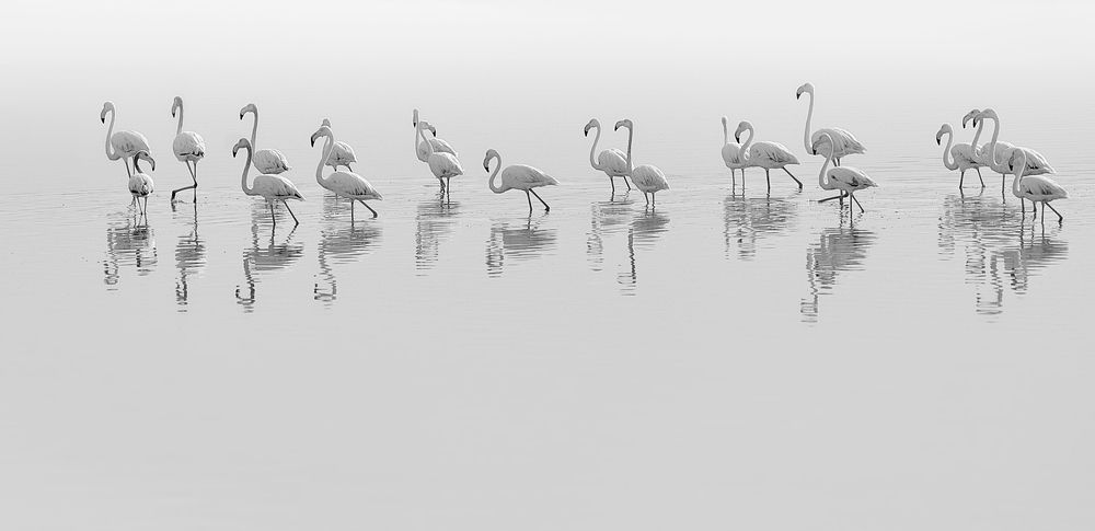 Photograph by Boris Bekelman