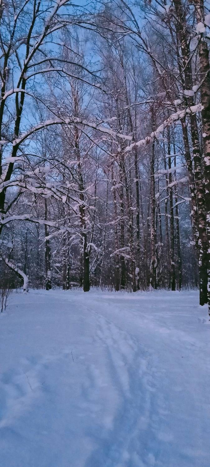Photo #13214420
