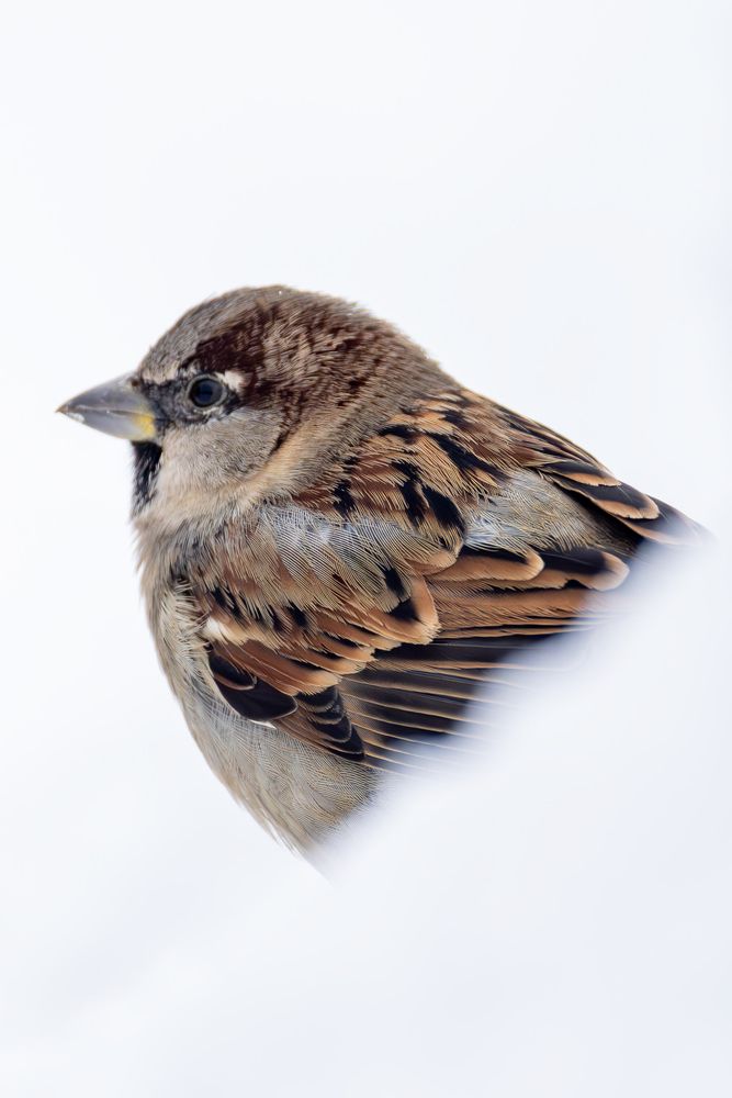 Фотография автора Владислав Колодюк