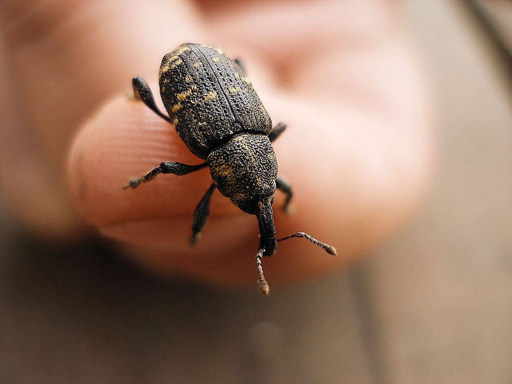 Photograph by Константин Громов