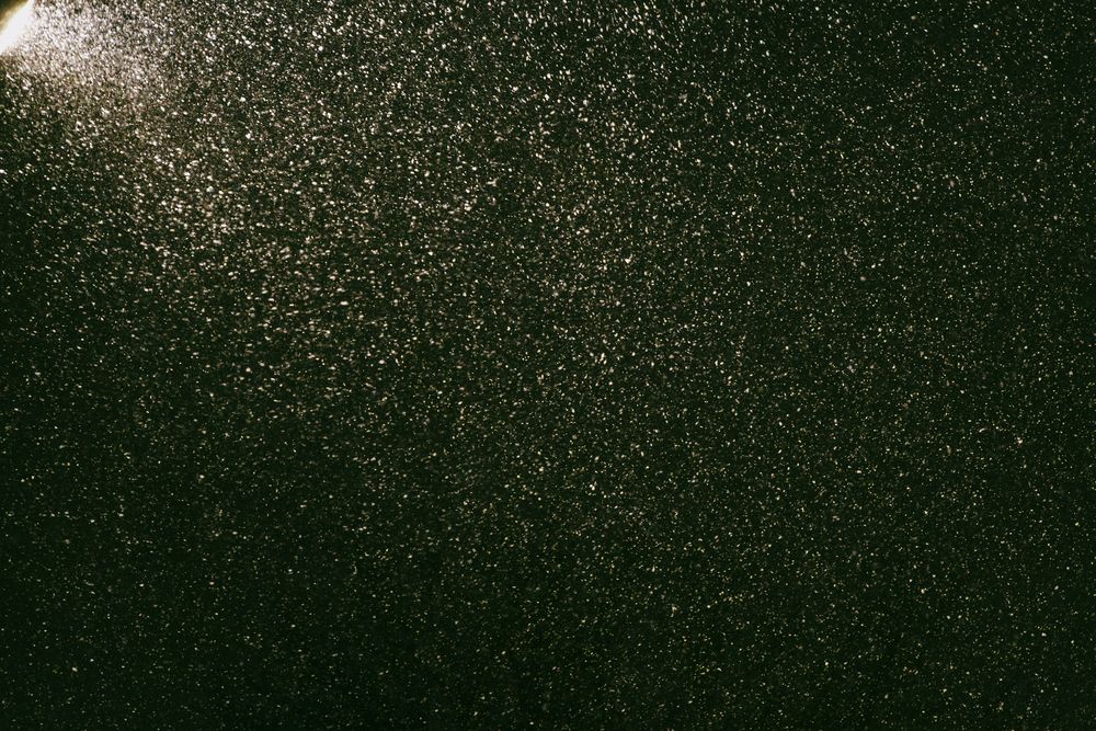 Photograph by Георгий Татарченко