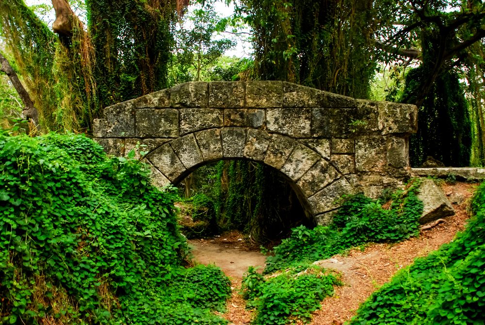 Photograph by Leonardo Rojas