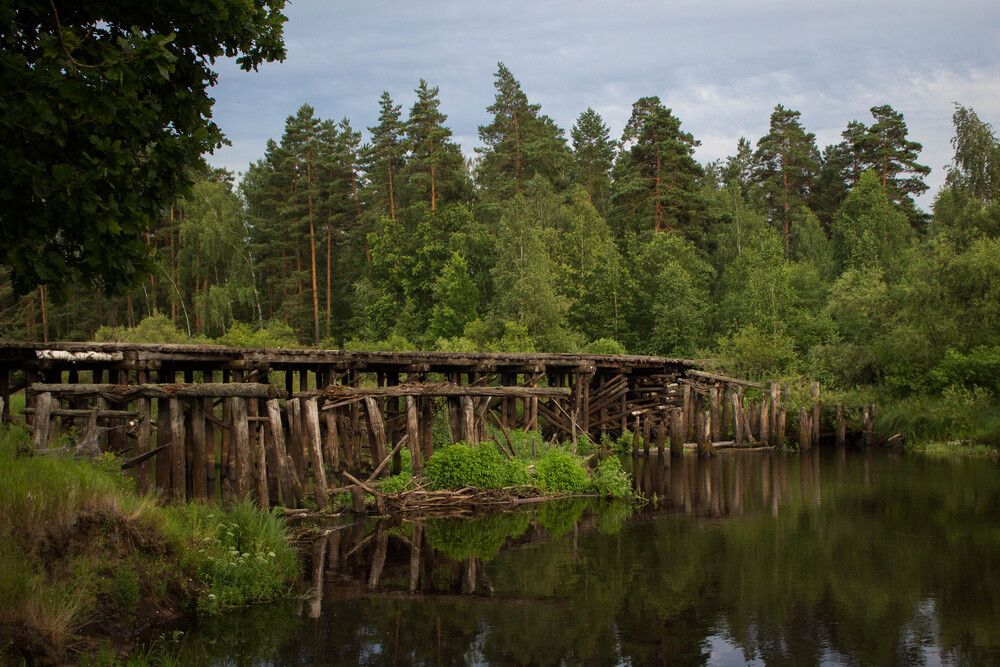 Photo #13214551
