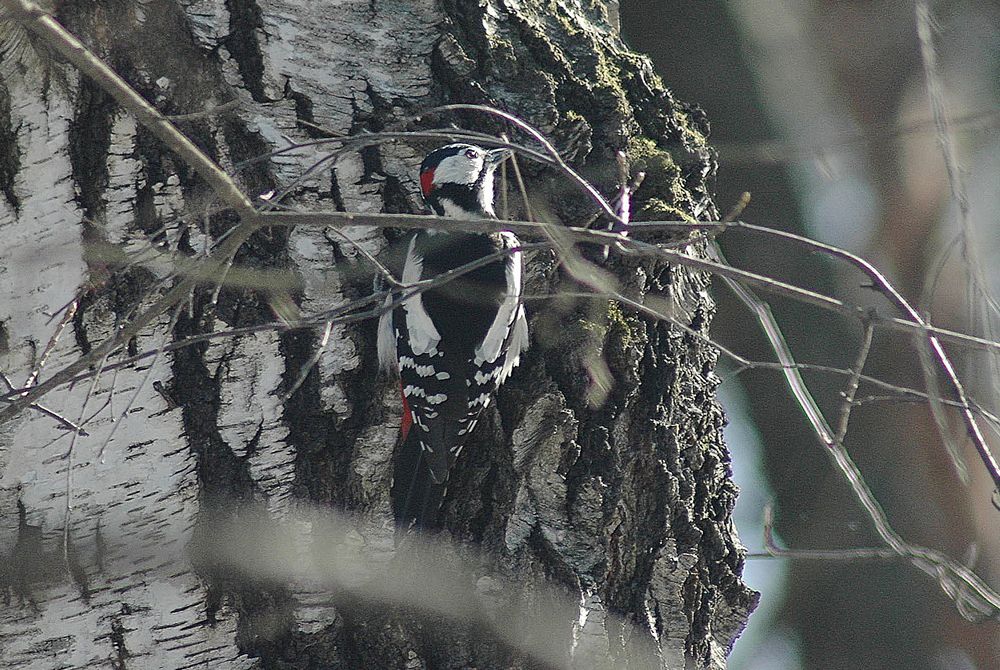 Photograph by Миша Автократов