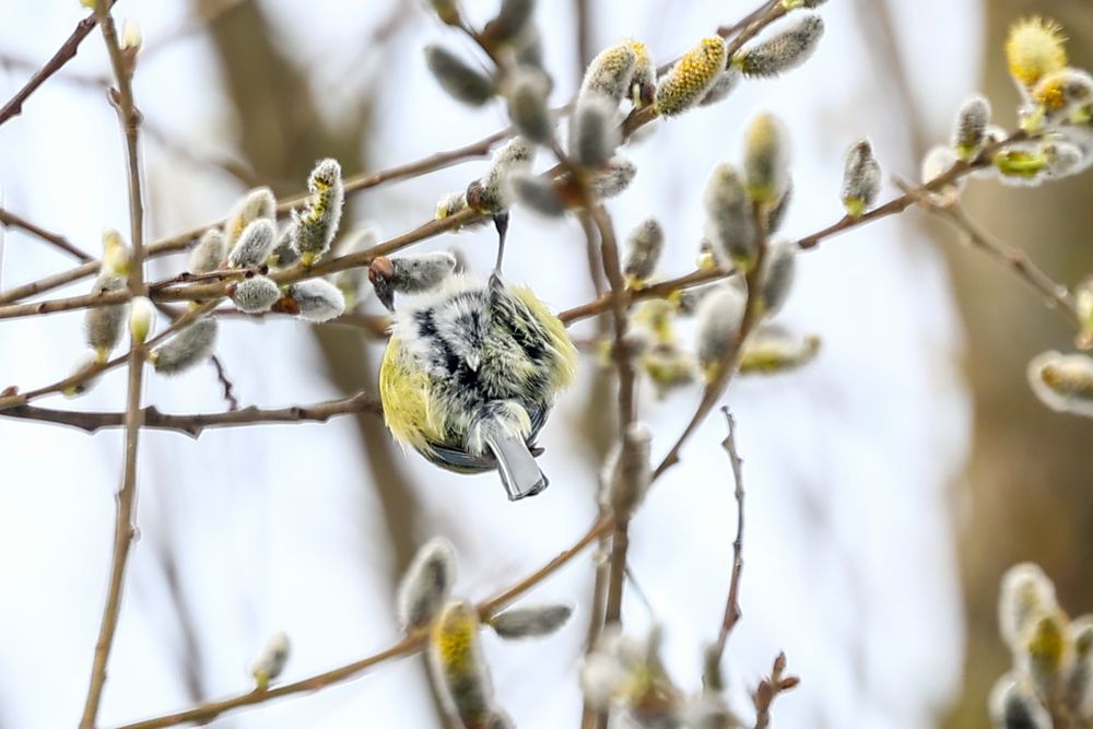Фотография автора Владислав Колодюк