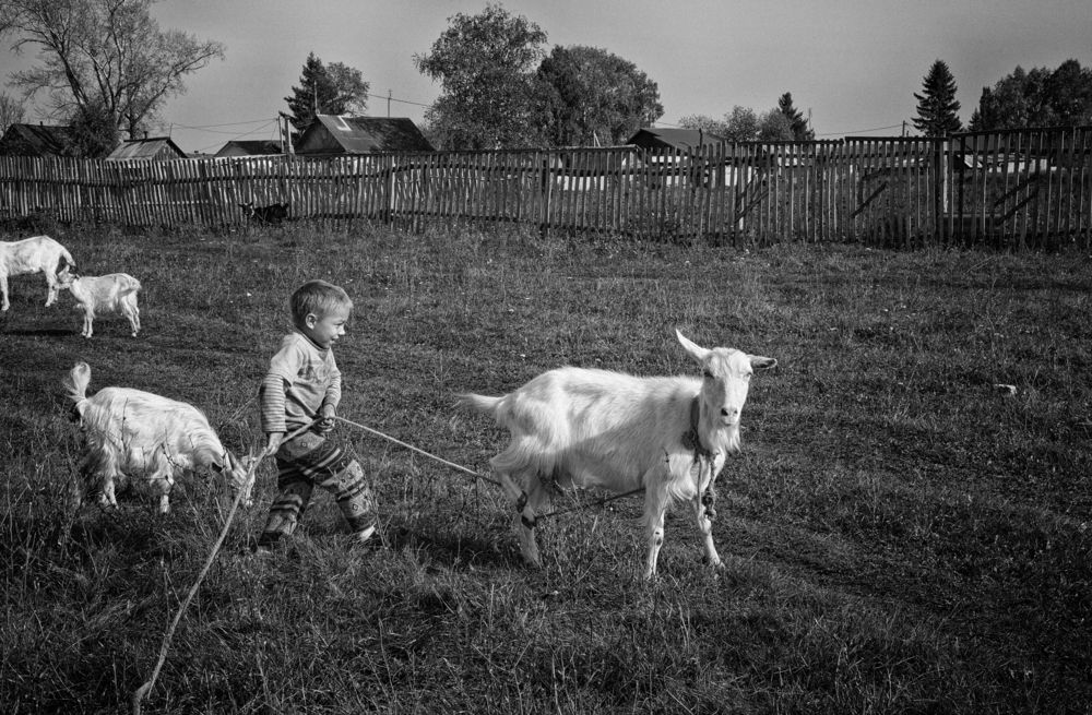 Photograph by Тамара Андреева