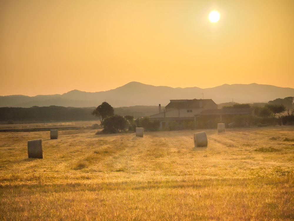 Summer morning in Emporda