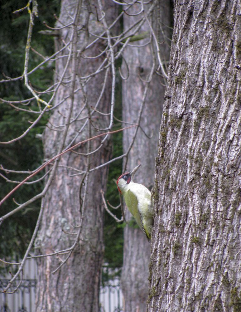 Photograph by Татьяна Петренко