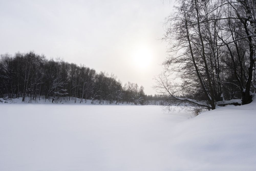 Фотография автора Дмитрий Калабухов