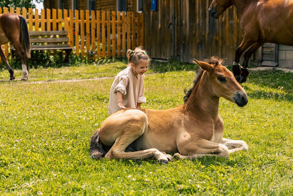 Photograph by Георгий Татарченко
