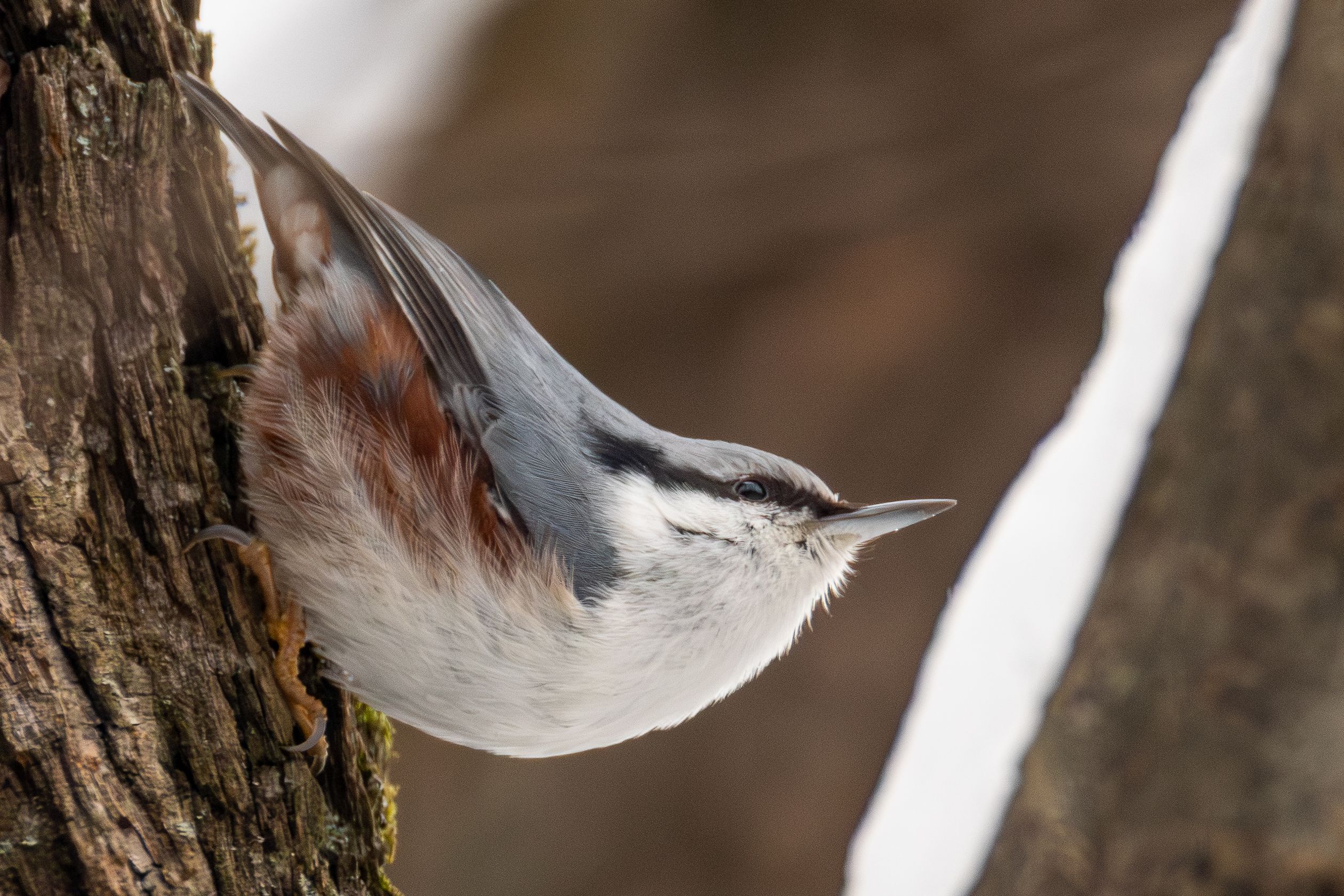 Фотография автора Владислав Колодюк