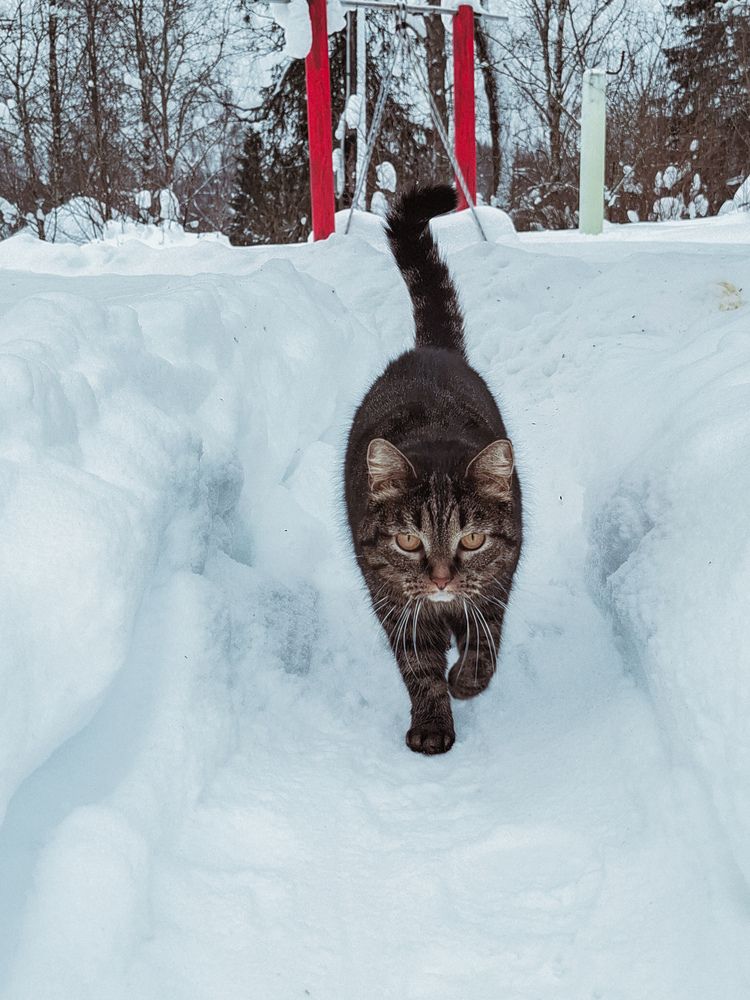 Photograph by Людмила Щепилова