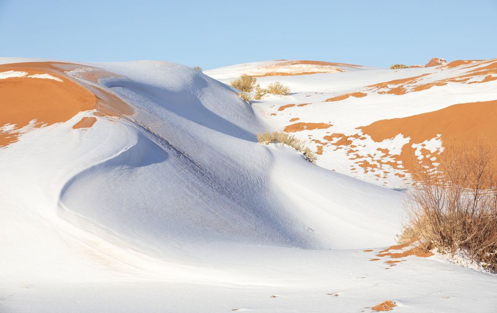 Photograph by Одаренко Ольга