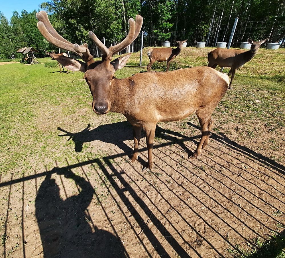 Photograph by Александр Лазебник