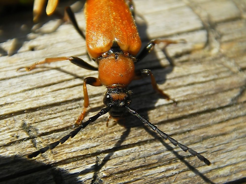 Photograph by valera0053