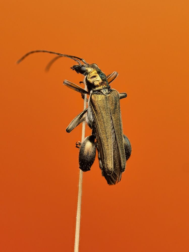 Photograph by Sergio Gomez Dominguez