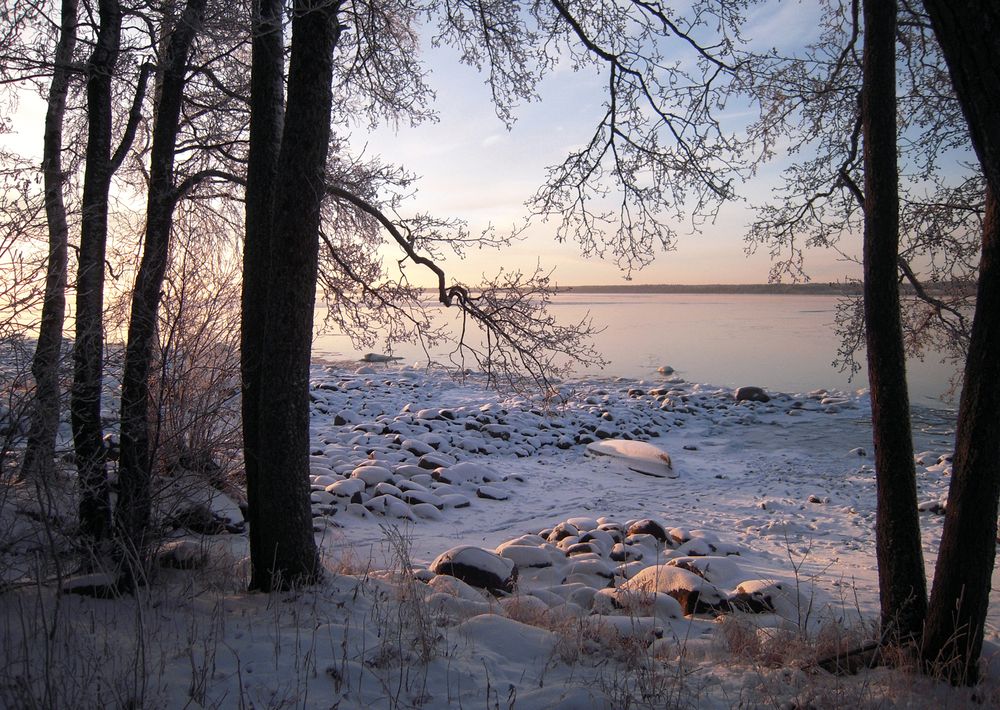 Фотография автора Харламова Валентина