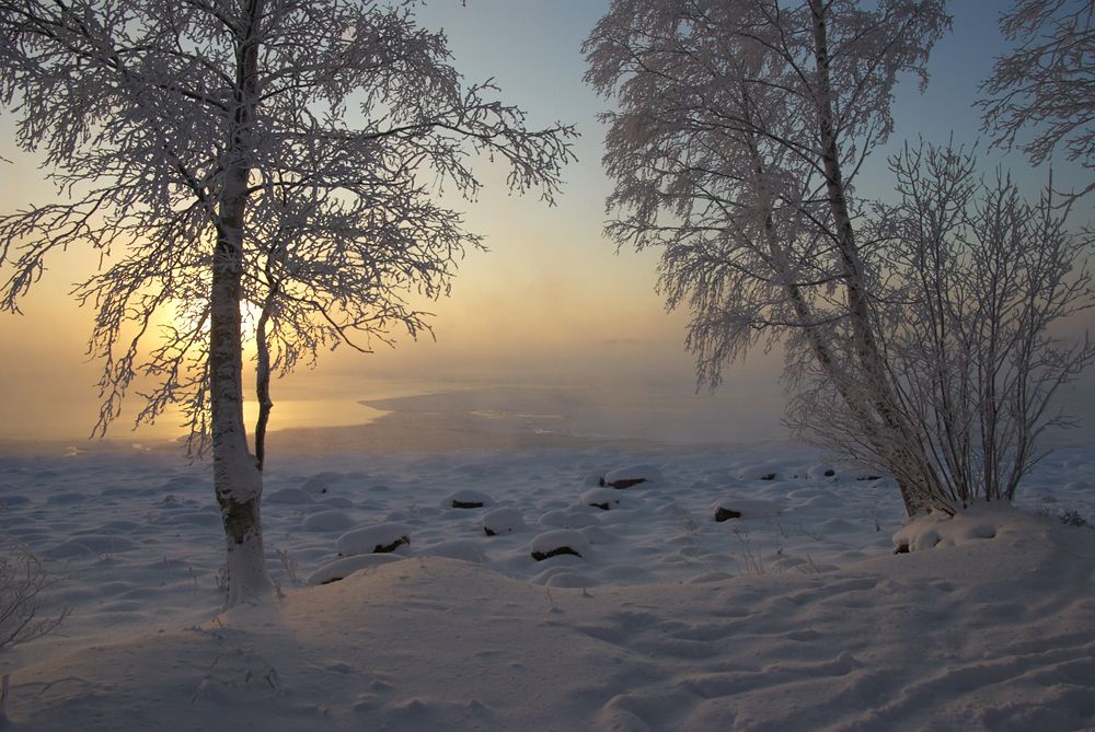 Фотография автора Харламова Валентина