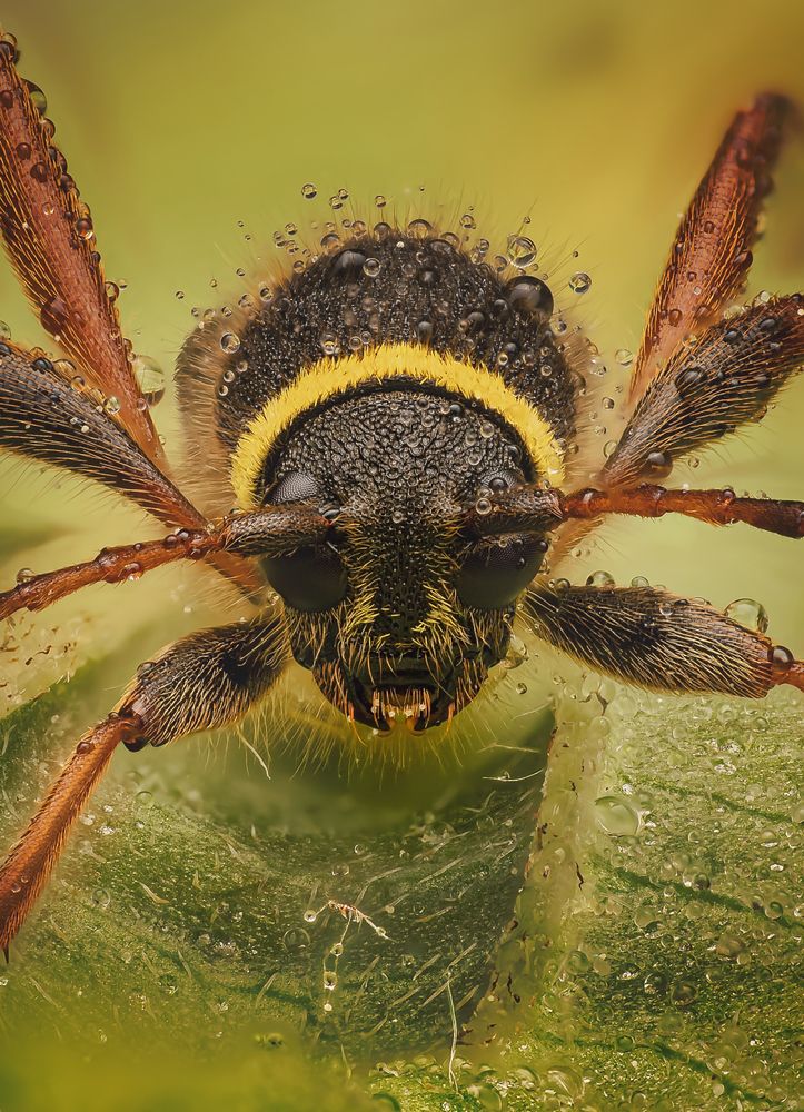 Photograph by Sergio Gomez Dominguez