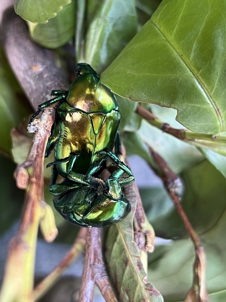 Photograph by Eleni Christogianni