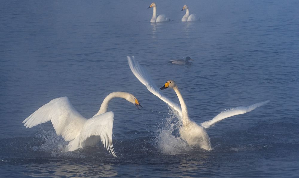 Photograph by Михаил