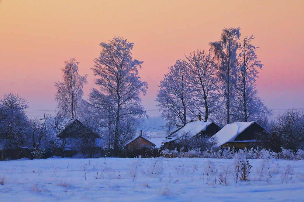 Photograph by Николай Протасеня