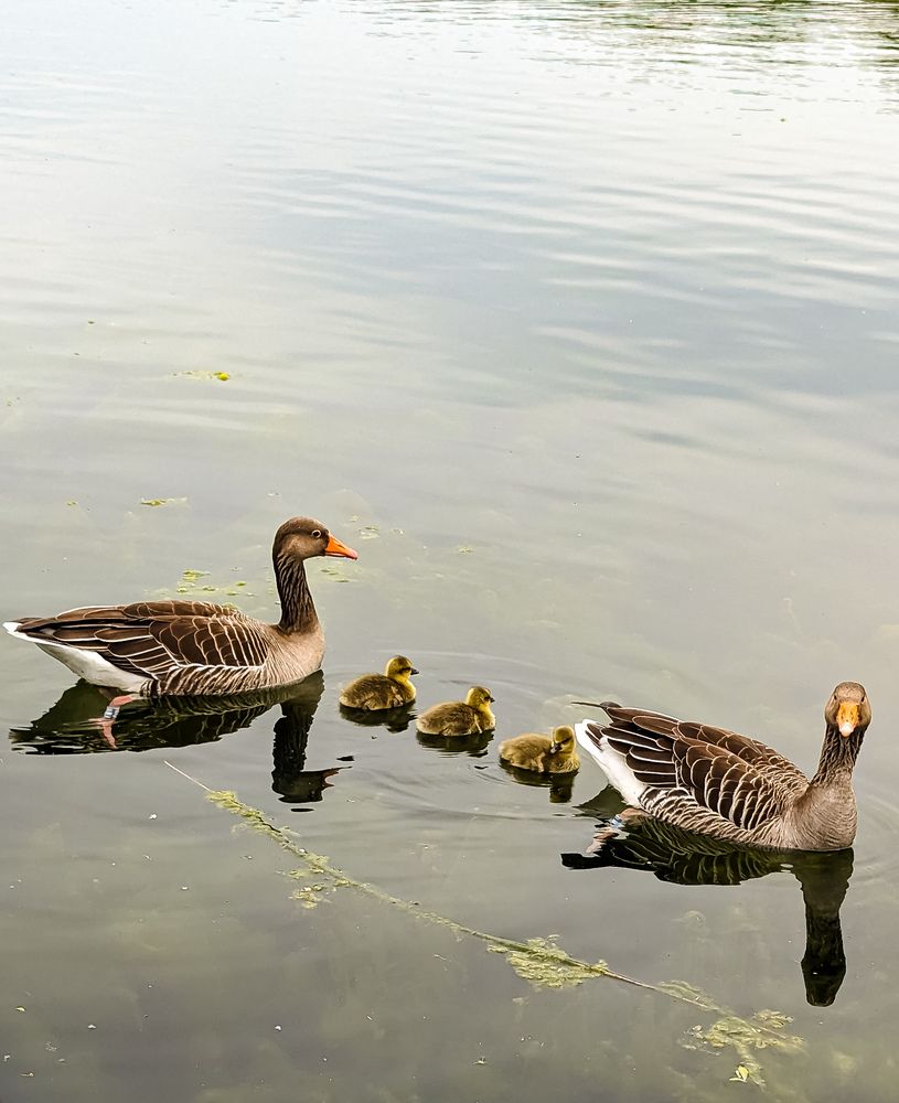 Photograph by Iryna Usanova