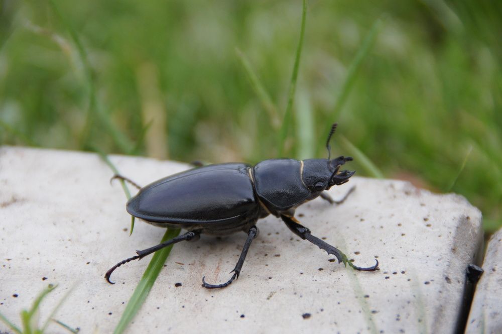 Photograph by Светлана Стрельцова