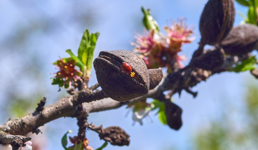 Photograph by Александр Пугачев