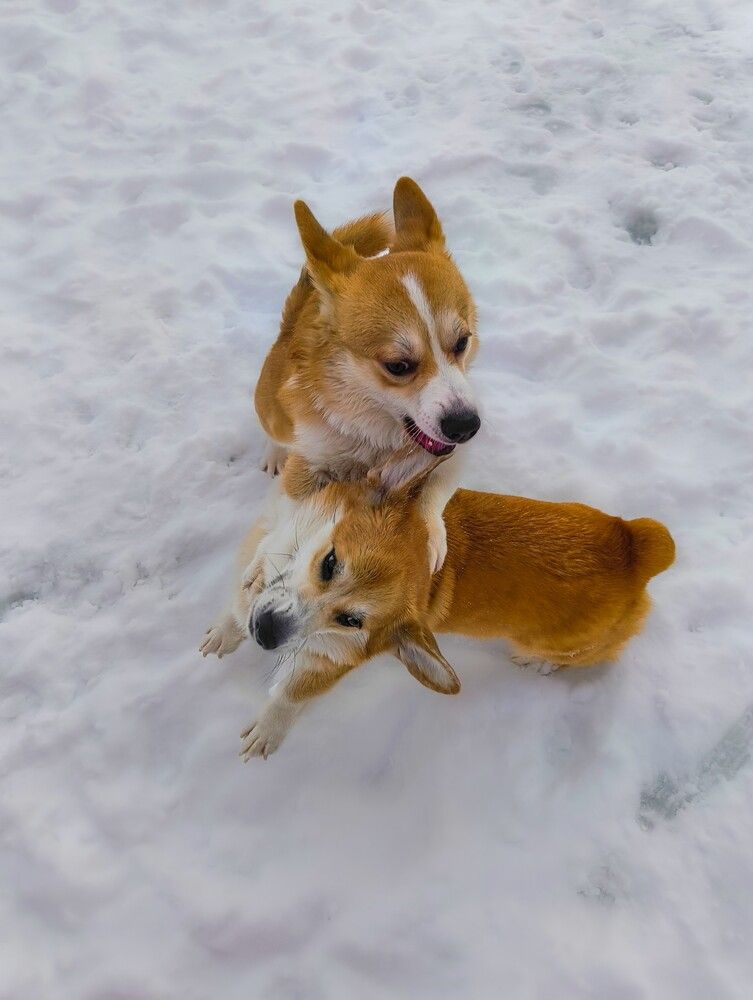 Photograph by Александр Порохов