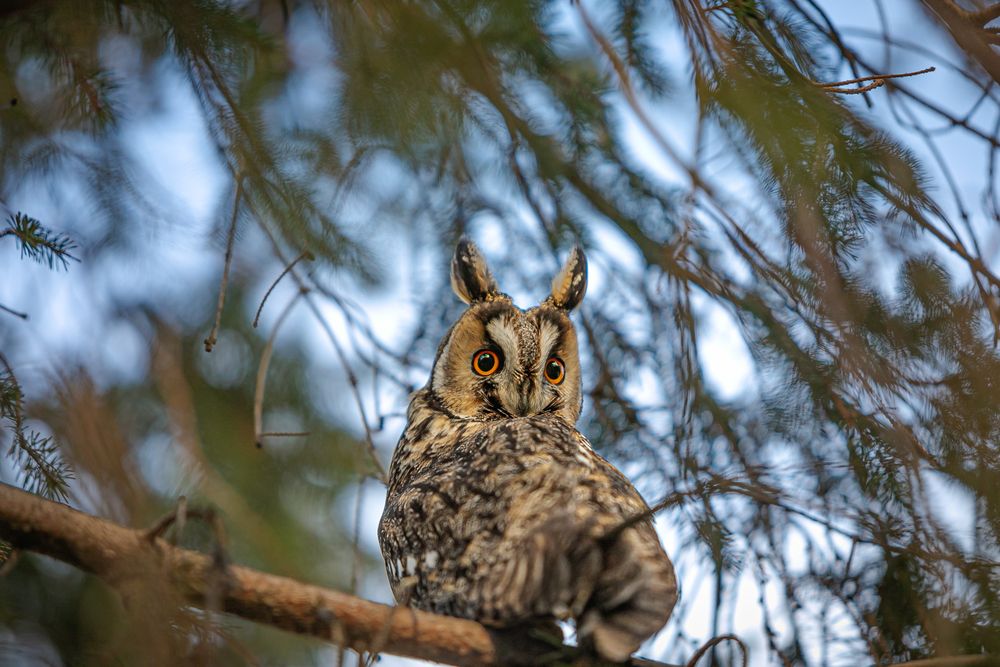 Photograph by Лупина Михаил