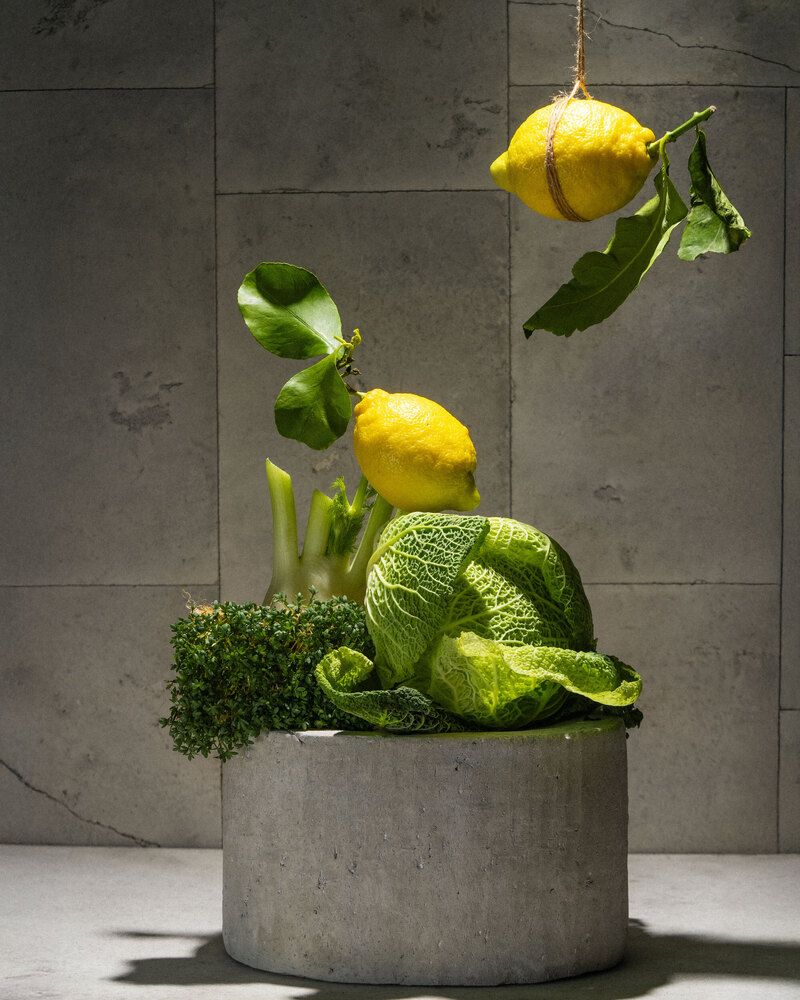 Photograph by Diana Sklarova