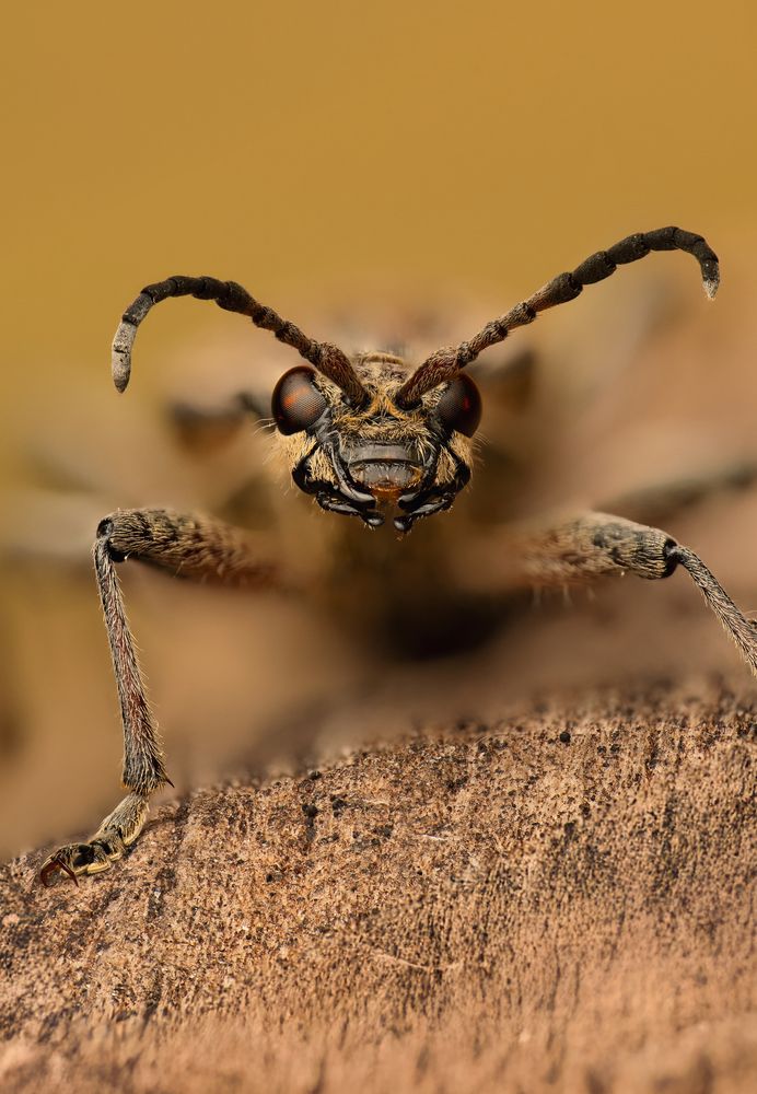 Photograph by Sergio Gomez Dominguez