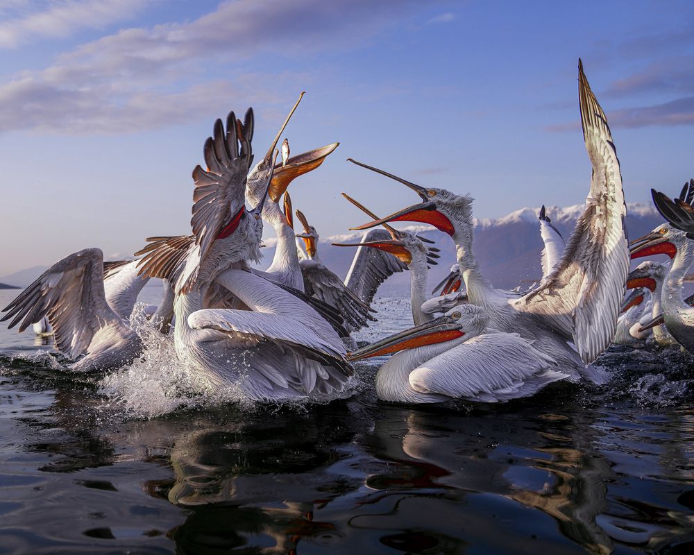 Photograph by Дорн Оксана